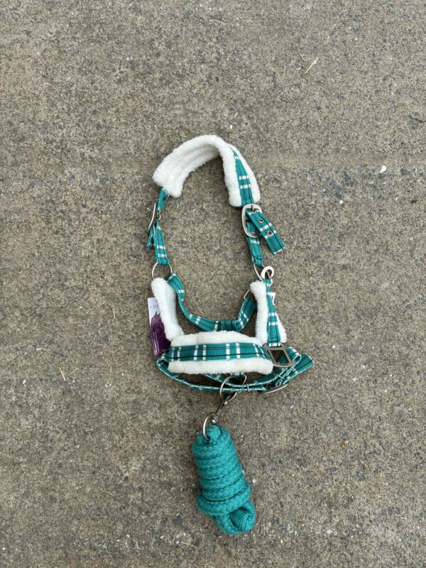 Licol fourré - Divers coloris