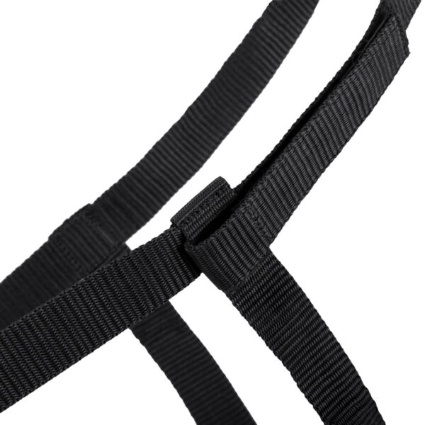 Licol de prairie QHP