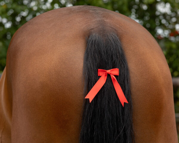 Noeud rouge à clips