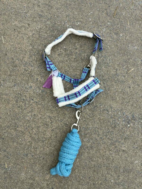 Licol fourré - Divers coloris