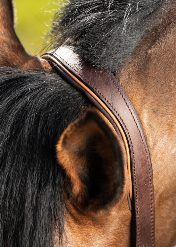 Licol "Two-Tone" cuir brun/cognac