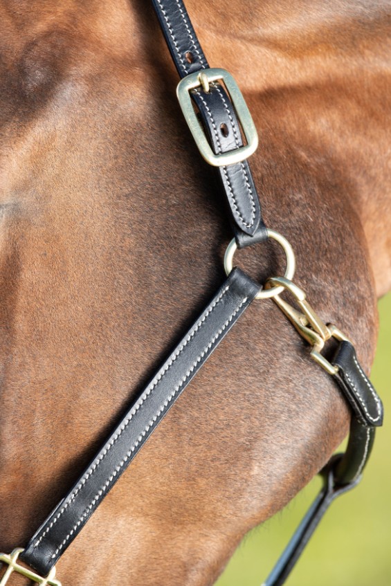 Licol cuir noir coutures crème HFI