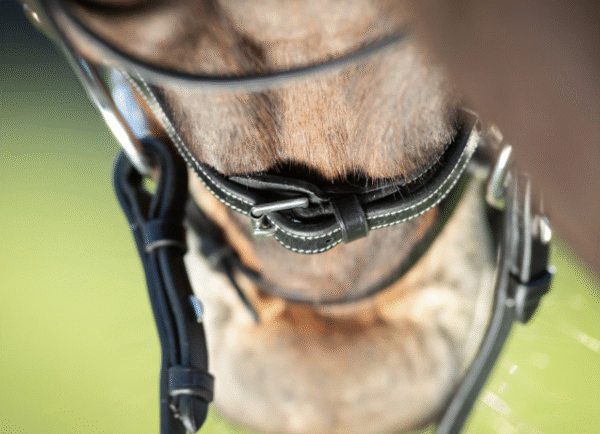 Bridon Functional HFI