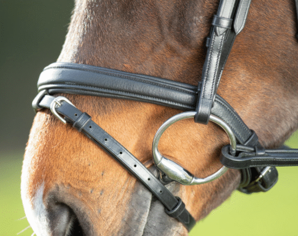 Capture d’écran 2025-08-21 081831 Bridon Soft HFI