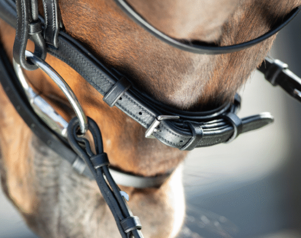 Capture d’écran 2025-08-21 081901 Bridon Soft HFI