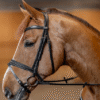 Bridon Padded HFI