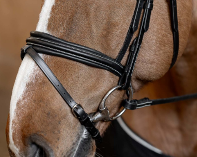 Bridon Padded HFI