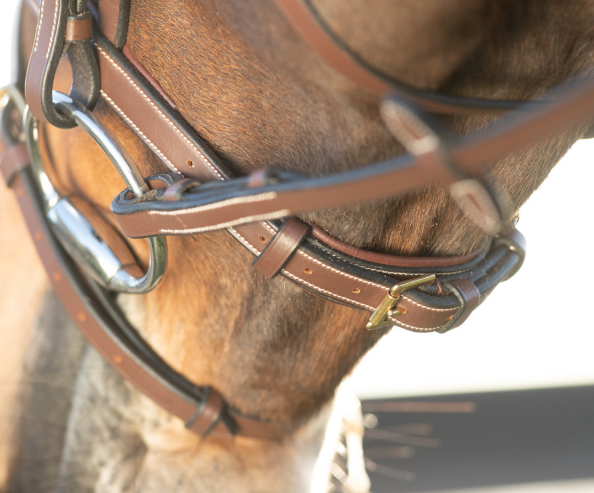 Bridon Technical HFI