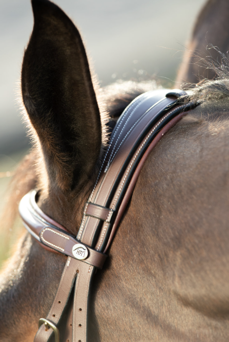 Bridon Technical HFI