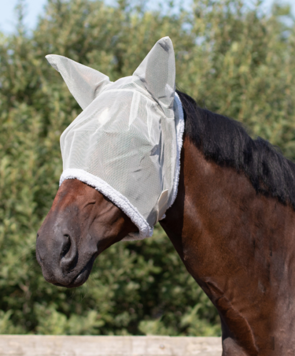 Fond couleur site - 2026-01-27T163009.070 Masque anti mouche fines mailles QHP mini shetland