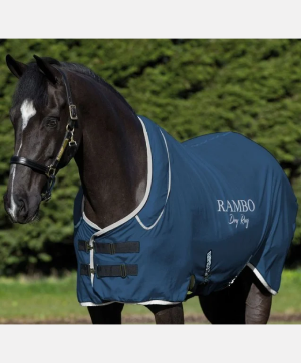 Fond couleur site - 2026-01-27T163158.206 Rambo Supreme Dry Rug Navy