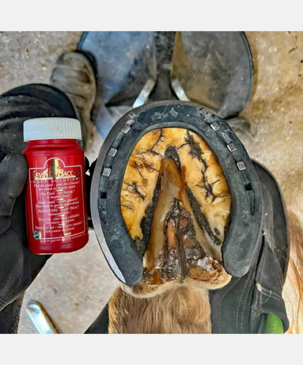 Hoof Solution