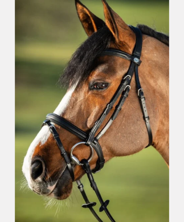 Fond couleur site - 2026-01-28T131114.745 Bridon Soft HFI