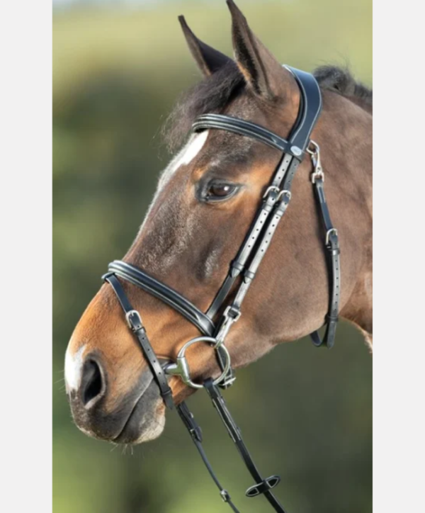 Bridon Functional HFI