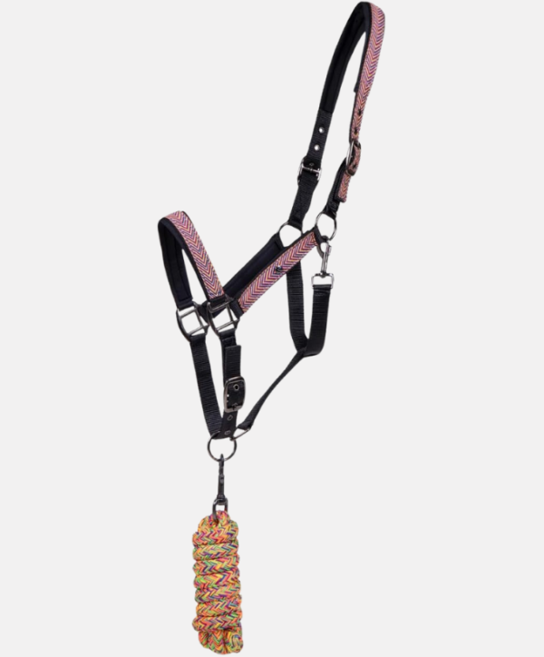 Licol + longe Colourfull Multi QHP