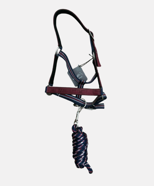 Licol + longe Cherry QHP