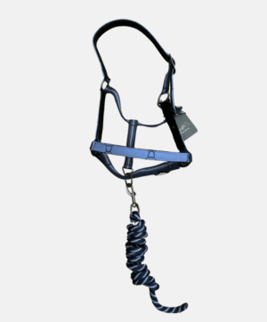 Licol + longe Country Blue QHP