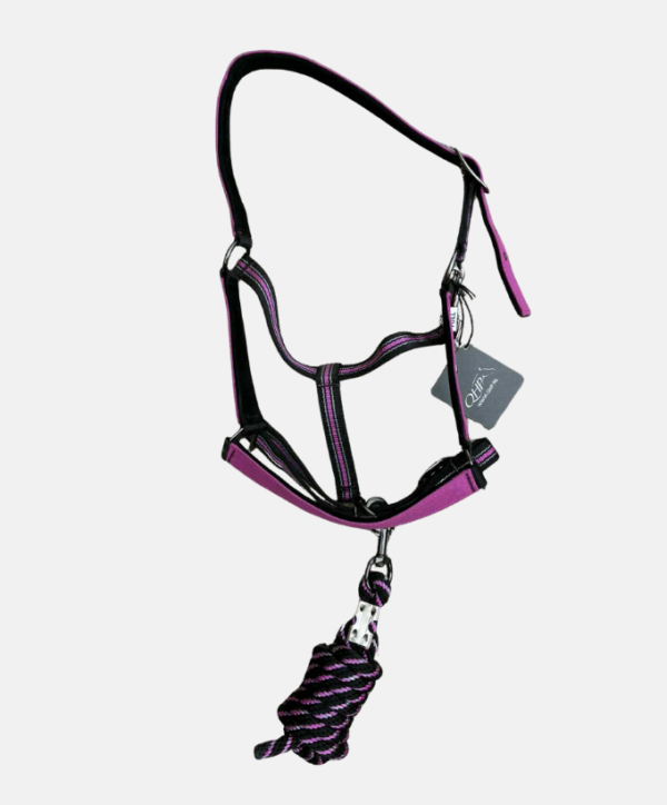 Licol + longe Festival QHP