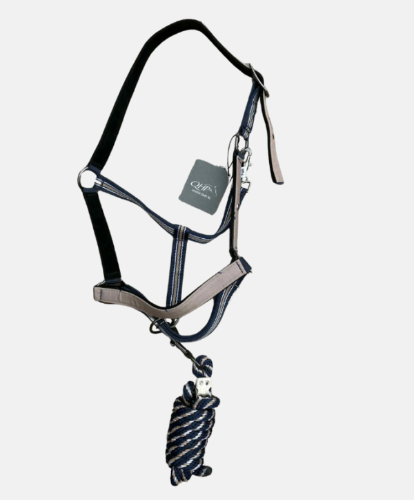 Licol + longe Focus QHP