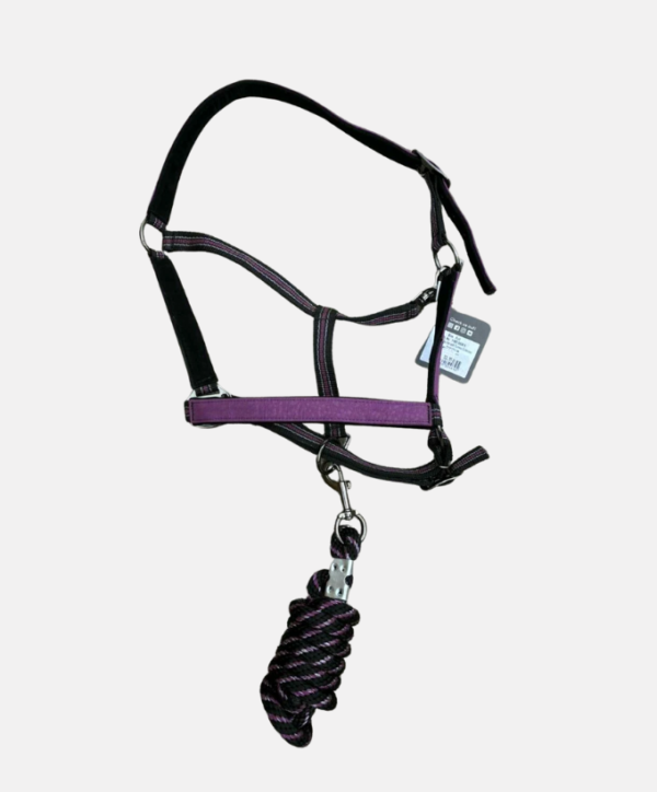 Licol + longe Gemstones QHP