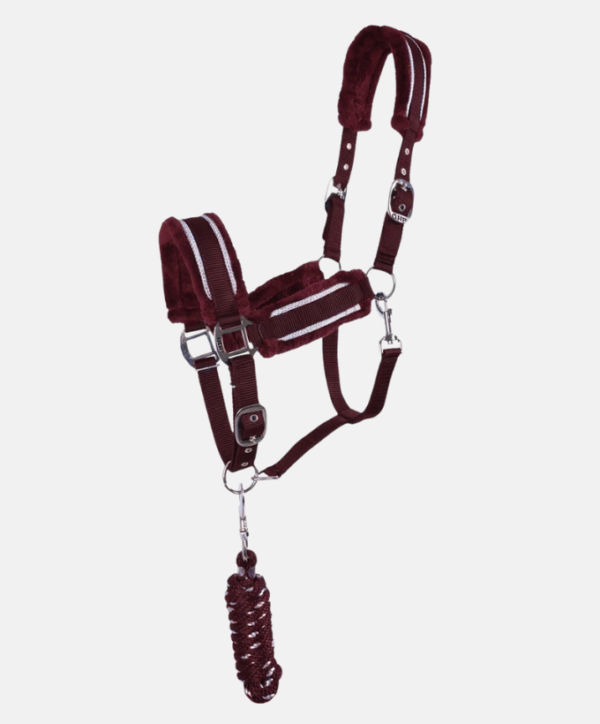 Licol + longe fourré Dolci QHP