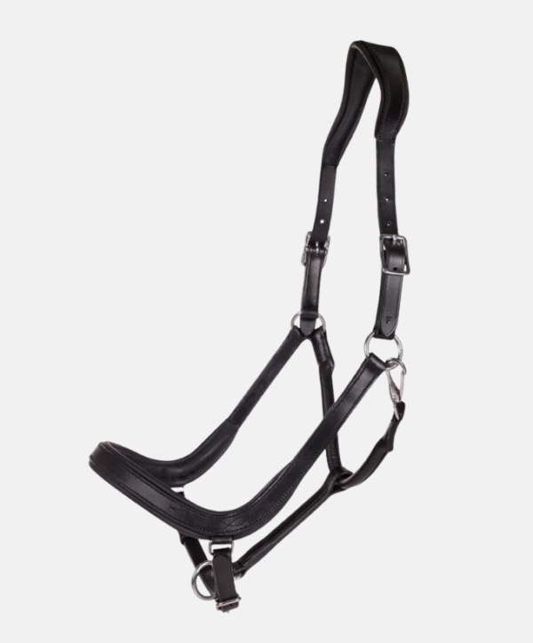 Fond couleur site - 2026-01-28T135445.765 Licol anatomique Salerno cuir QHP