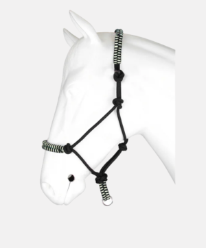 Licol en corde bicolore Horka