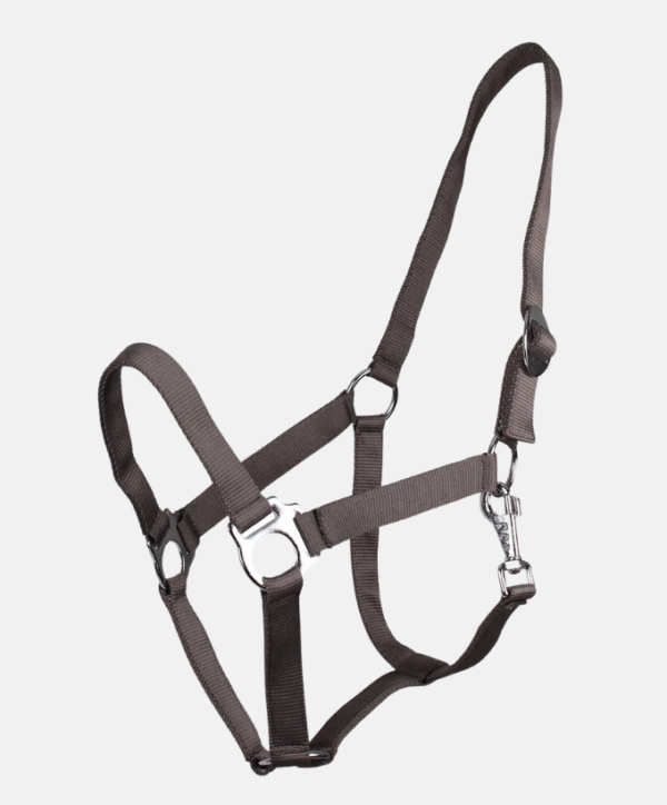 Licol avec glissière QHP