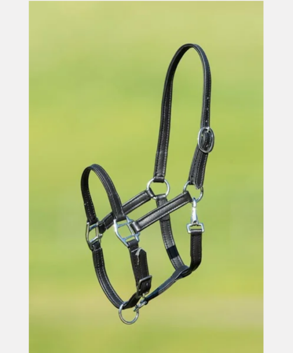 Licol cuir noir souple HFI