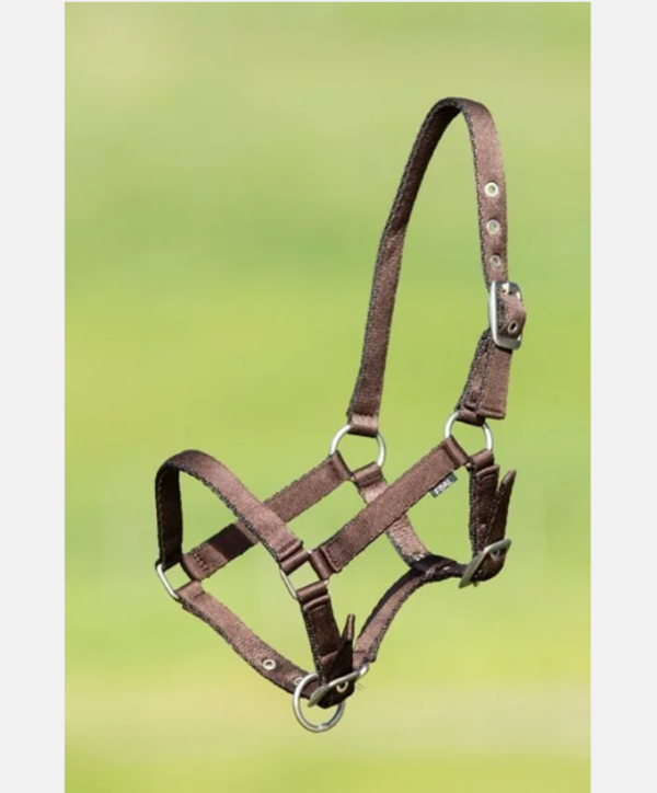 Licol poulain nylon HFI