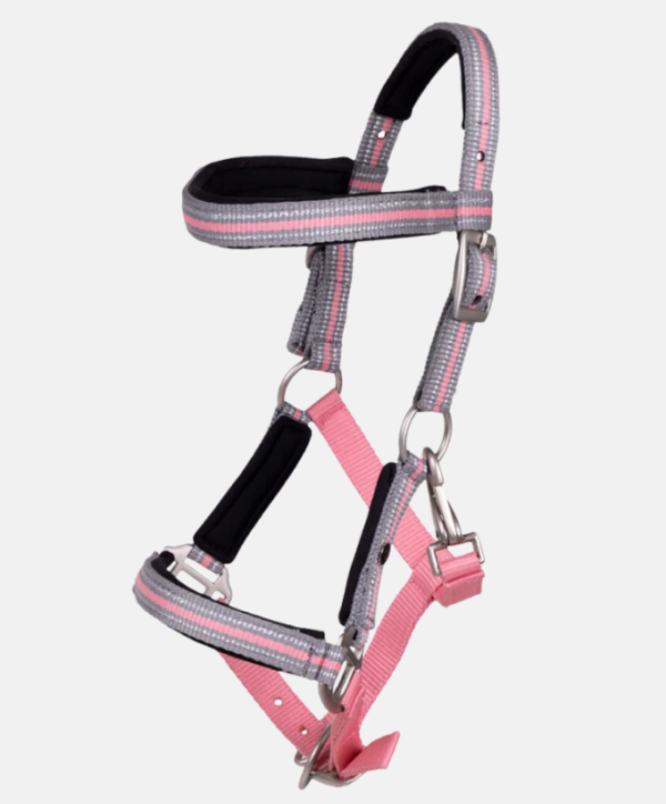 Licol Frontal QHP Foal