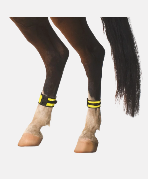 Guêtres réfléchissantes Covalliero