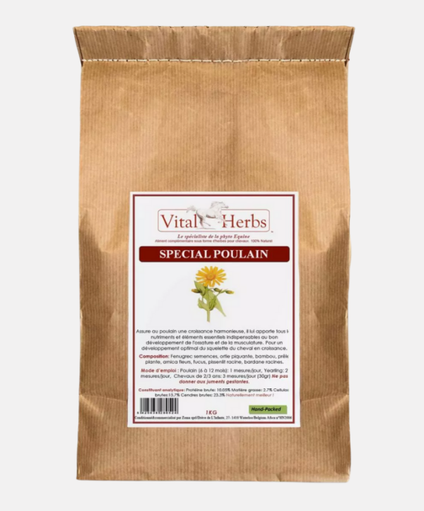 Spécial poulain