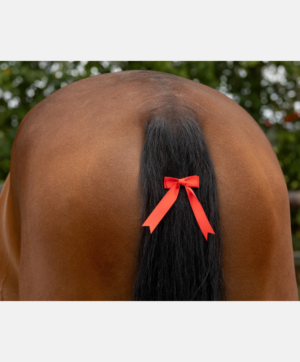 Noeud rouge à clips