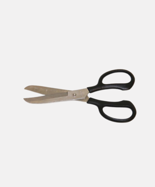 Fond couleur site - 2026-01-29T091131.976 Ciseaux de pansage