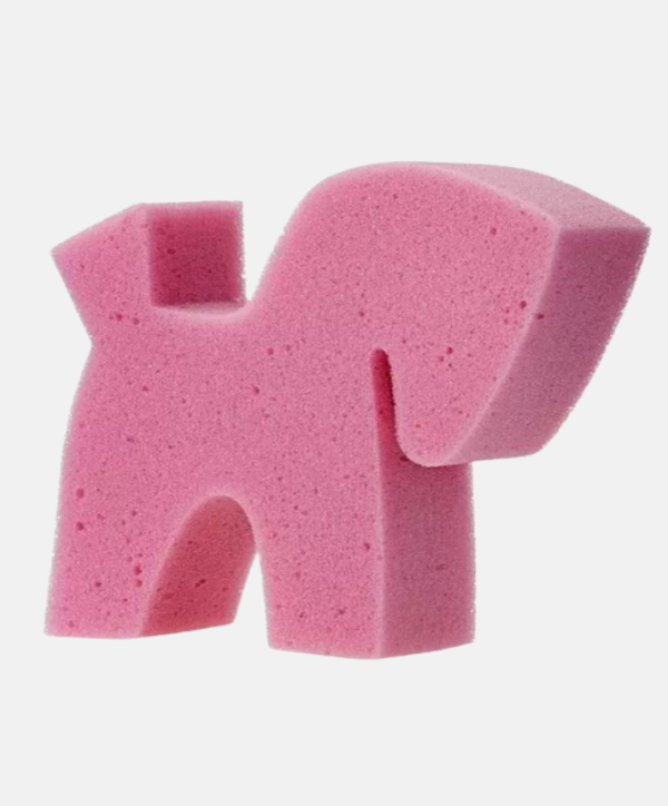 Eponge en forme de cheval