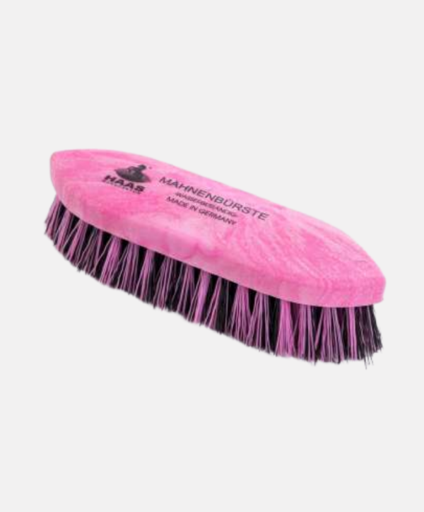 Brosse dure Haas