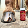 Hoof Solution