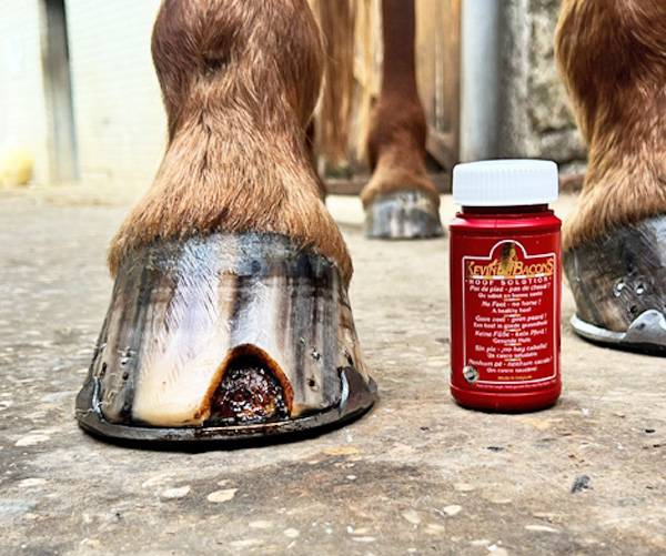 Hoof Solution