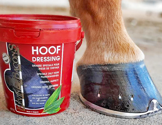 Hoof Dressing