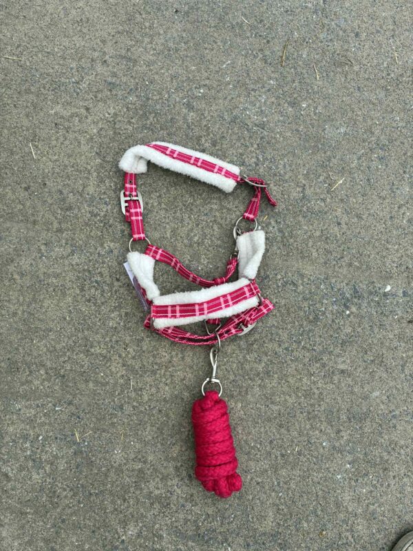 Licol fourré - Divers coloris