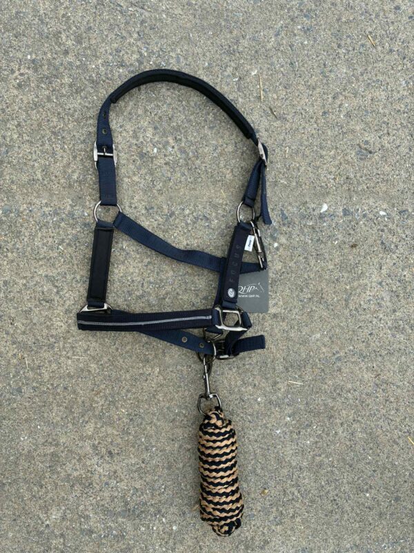 Licol + longe Focus QHP