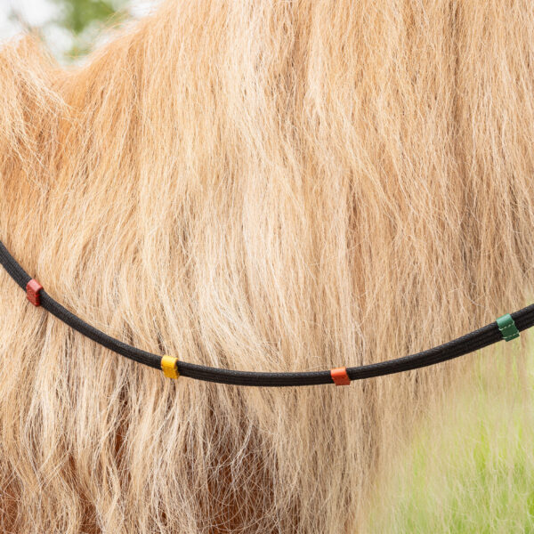 Rênes avec arrêts colorés QHP