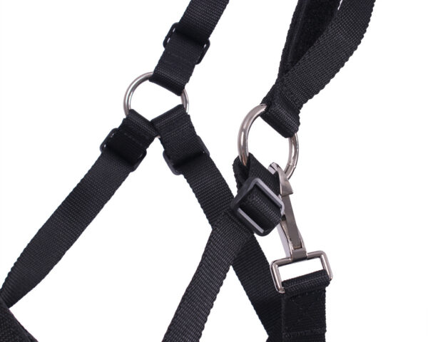 Panier de jeune avec licol QHP