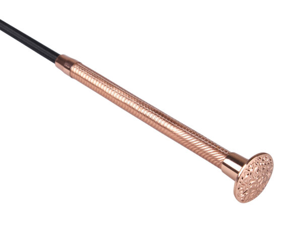 5169ros-2_3 Cravache de dressage Spiral QHP