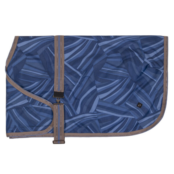 Couverture poulain QHP