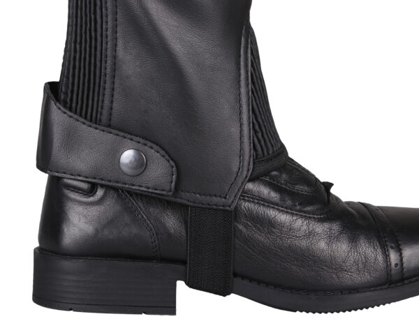 7254zw-10_5 Chaps Shimmer QHP