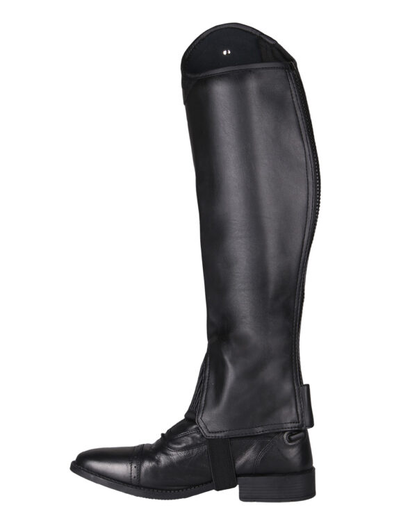 7254zw-5_5 Chaps Shimmer QHP