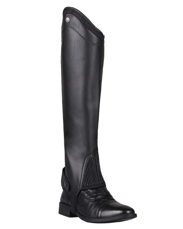 7254zw_5 Chaps Shimmer QHP