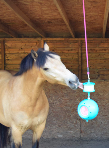 Likit Boredom Breaker